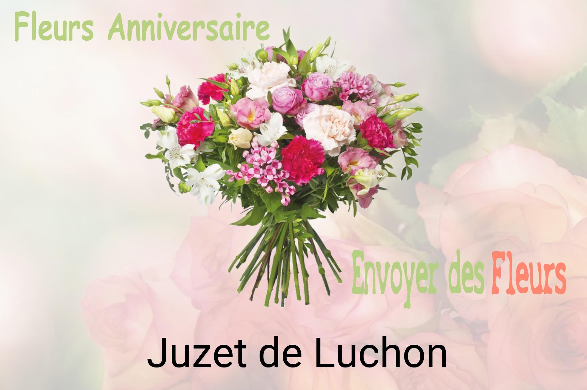 Bouquet de fleurs d’anniversaire livré à Juzet-de-Luchon