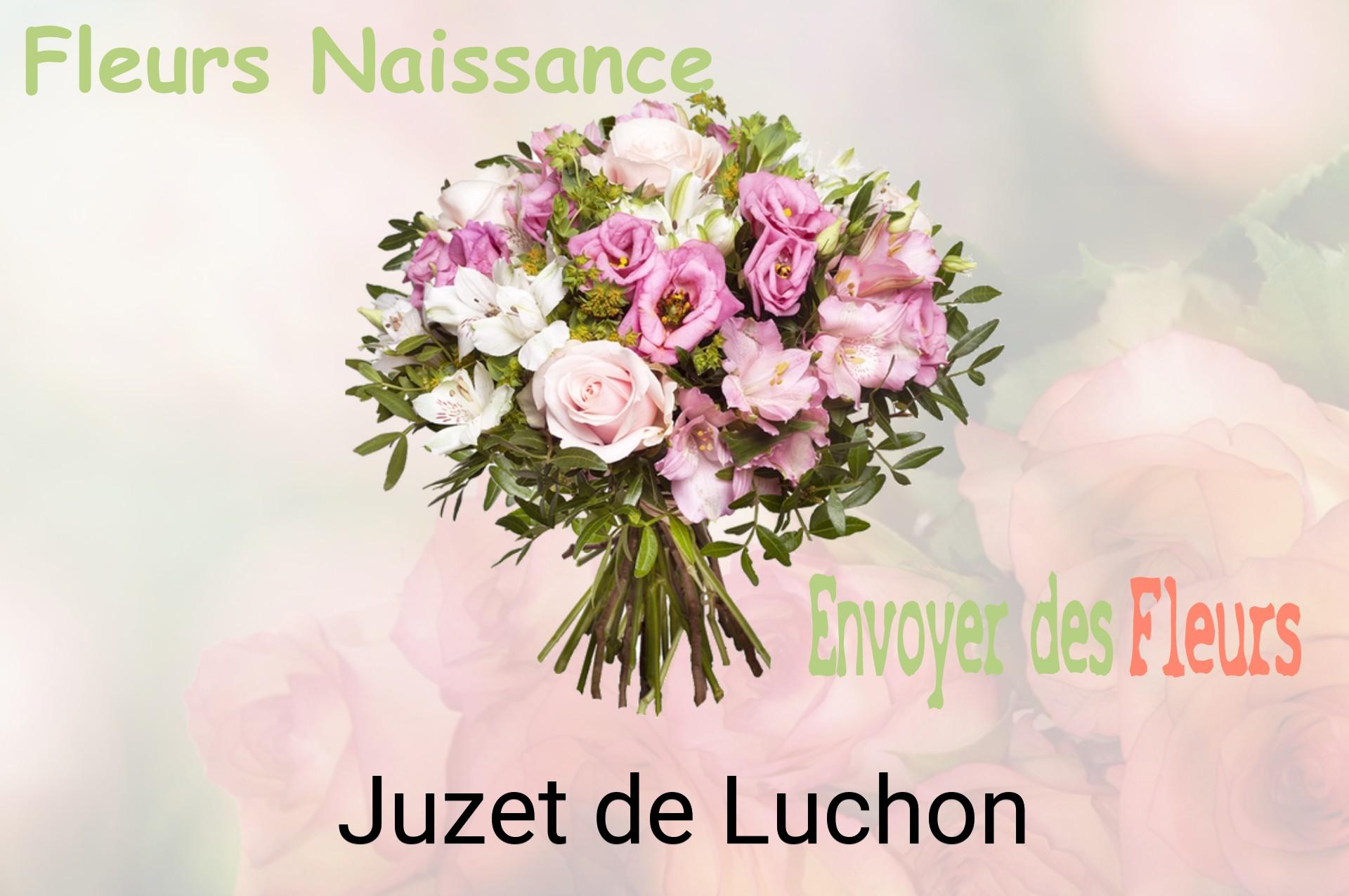 Bouquet de fleurs de naissance livré à Juzet-de-Luchon