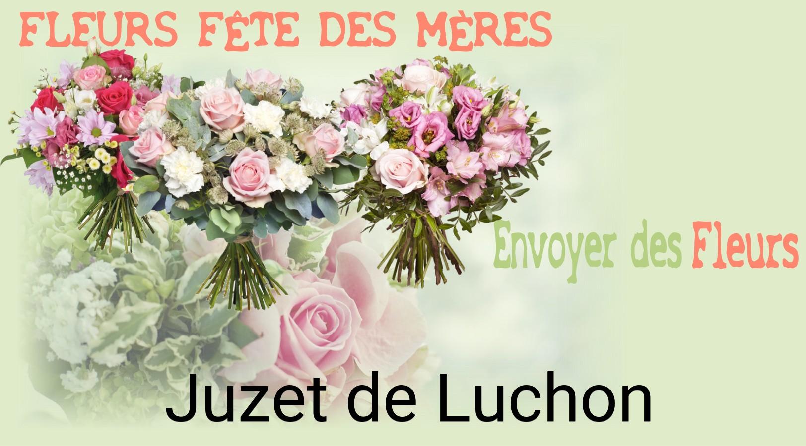 Bouquet de Fête des Mères livré à Juzet-de-Luchon
