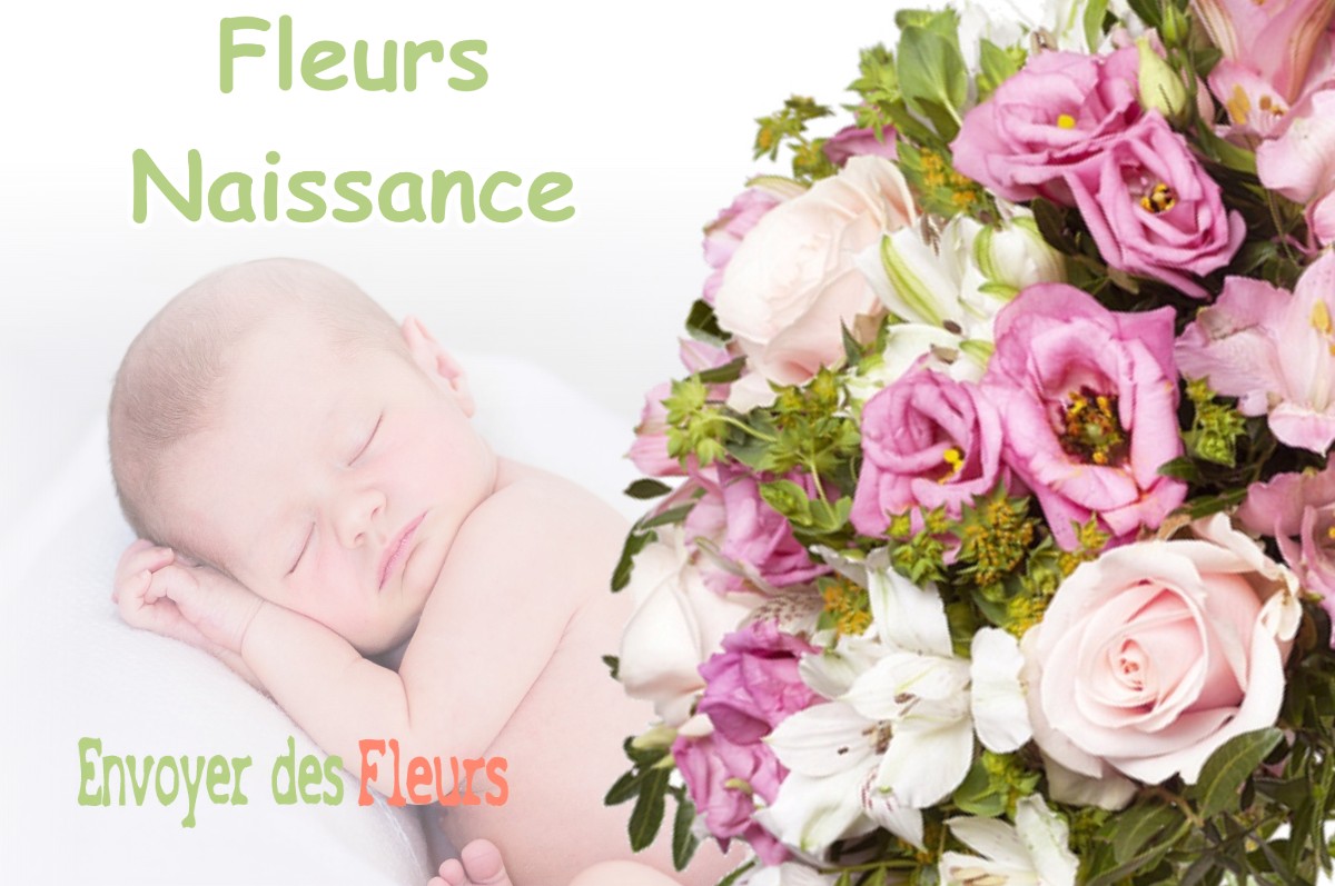 lIVRAISON FLEURS NAISSANCE à JUZET-DE-LUCHON